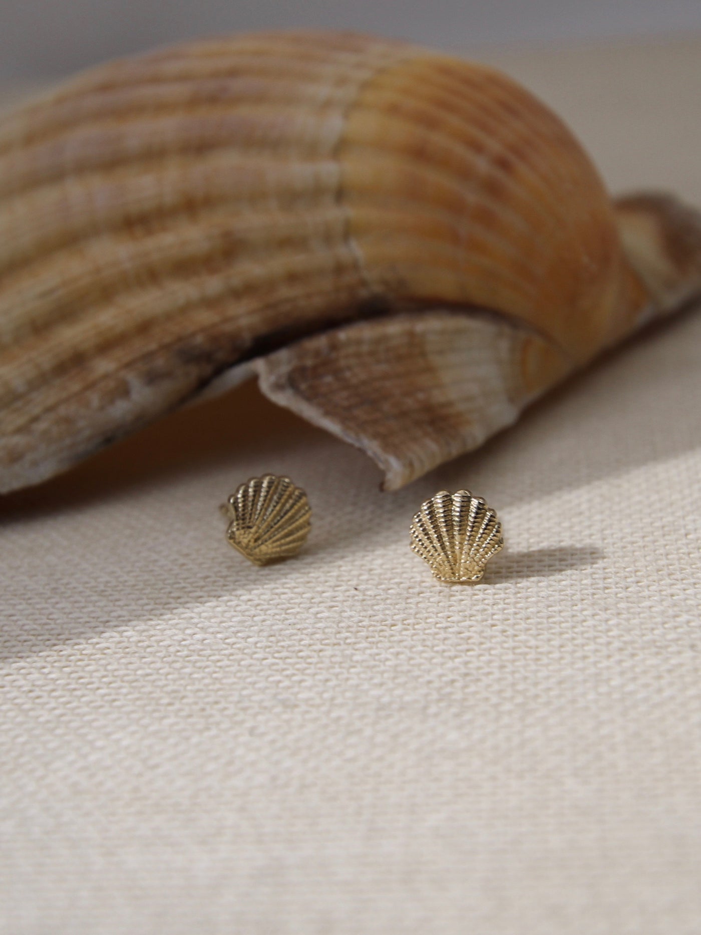 Shell Ear Stud